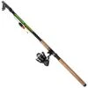Arapaima Fishing Equipment Carp & Eel Combo 300 Angelrute Und Rolle