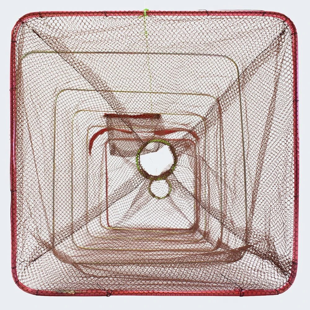 Arapaima Fishing Equipment Köderfischreuse 4 Arapaima Fishing Equipment Köderfischreuse – Bild 4