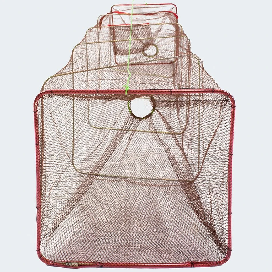 Arapaima Fishing Equipment Köderfischreuse 5 Arapaima Fishing Equipment Köderfischreuse – Bild 5