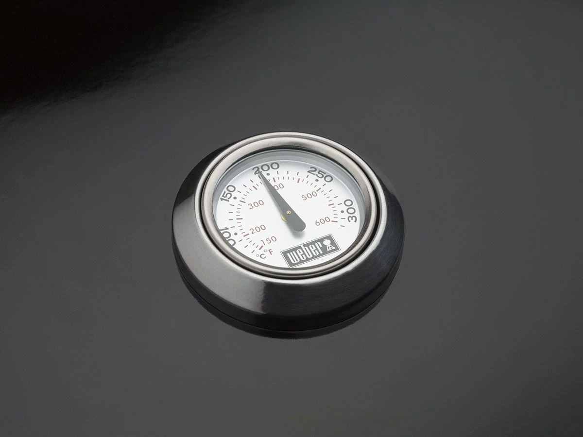 Weber Performer Deluxe GBS Holzkohlegrill 6 Weber Performer Deluxe GBS Holzkohlegrill – Bild 6