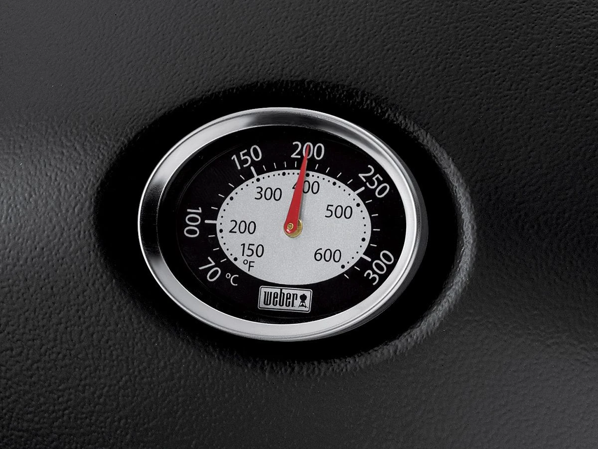 Weber Q1200 Gasgrill 2 Weber Q1200 Gasgrill – Bild 2